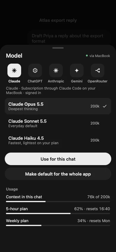 The model picker on iPhone: Claude, ChatGPT, Anthropic, Gemini and OpenRouter, the Claude models and your usage.